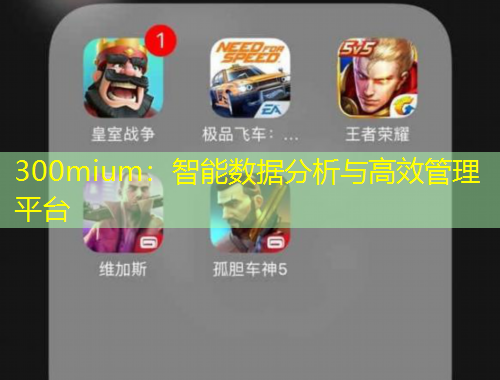 300mium：智能數(shù)據(jù)分析與高效管理平臺