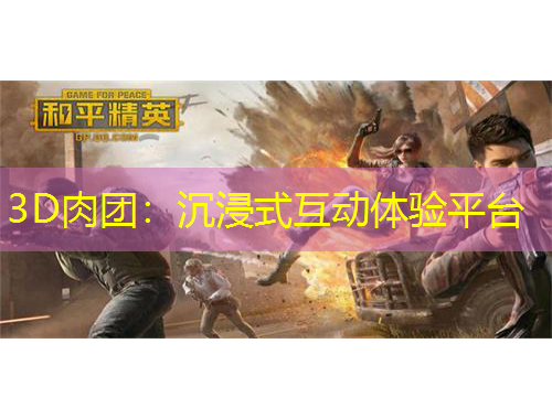 3D肉團(tuán)：沉浸式互動(dòng)體驗(yàn)平臺(tái)