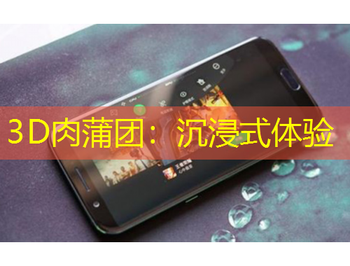 3D肉蒲團：沉浸式體驗