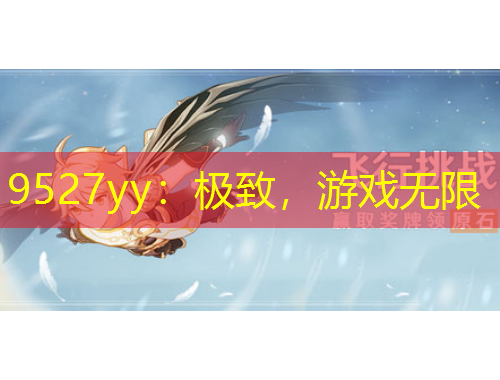 9527yy：極致，游戲無限