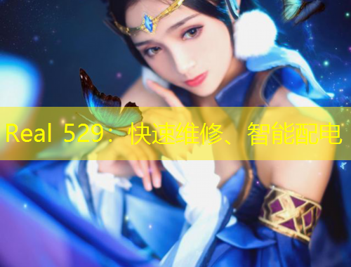 Real 529：快速維修、智能配電