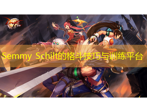 Semmy Schilt的格斗技巧與訓(xùn)練平臺