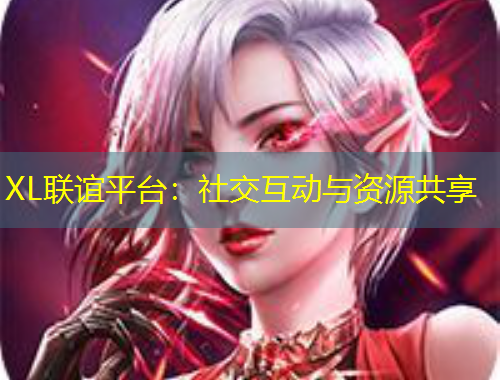 XL聯(lián)誼平臺：社交互動與資源共享