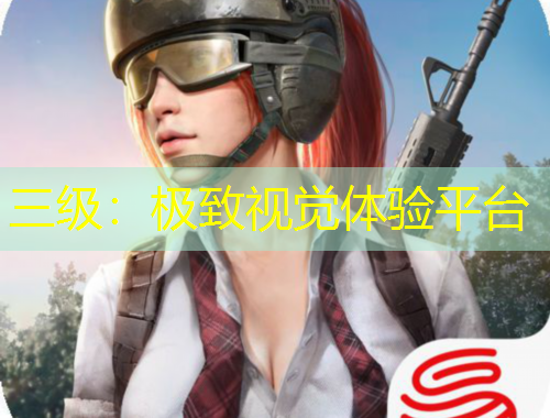 三級：極致視覺體驗平臺