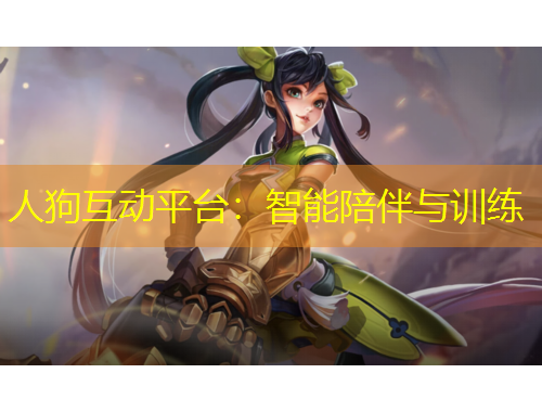 人狗互動平臺：智能陪伴與訓(xùn)練