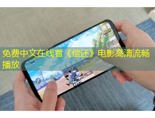 免費(fèi)中文在線看《償還》電影高清流暢播放