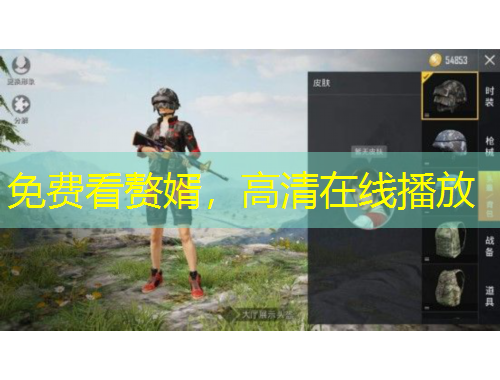 免費(fèi)看贅婿，高清在線播放