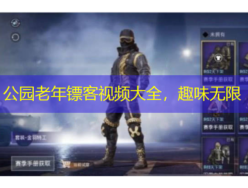 公園老年鏢客視頻大全，趣味無限