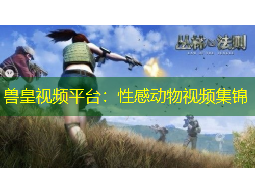 獸皇視頻平臺：性感動物視頻集錦