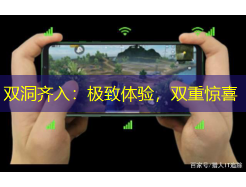 雙洞齊入：極致體驗(yàn)，雙重驚喜