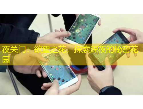 夜關(guān)門：欲望之花，探索深夜的秘密花園