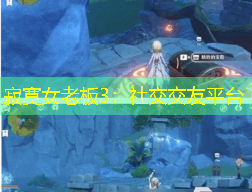 寂寞女老板3：社交交友平臺(tái)