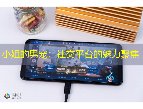 小姐的男寵：社交平臺的魅力聚焦