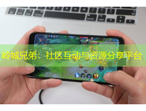 嶺城兄弟：社區(qū)互動(dòng)與資源分享平臺(tái)