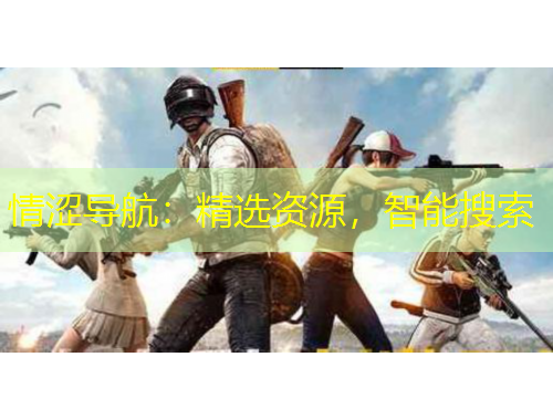 情澀導(dǎo)航：精選資源，智能搜索