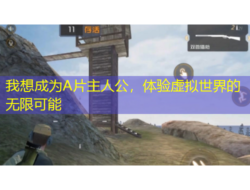 我想成為A片主人公，體驗虛擬世界的無限可能