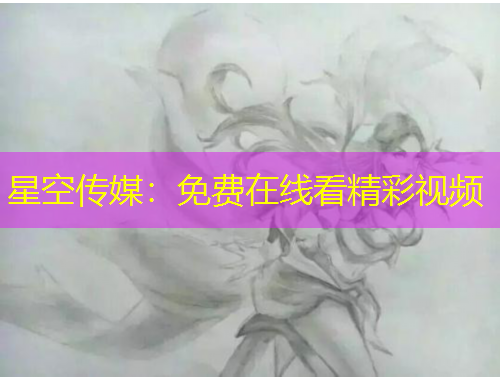 星空傳媒：免費(fèi)在線看精彩視頻