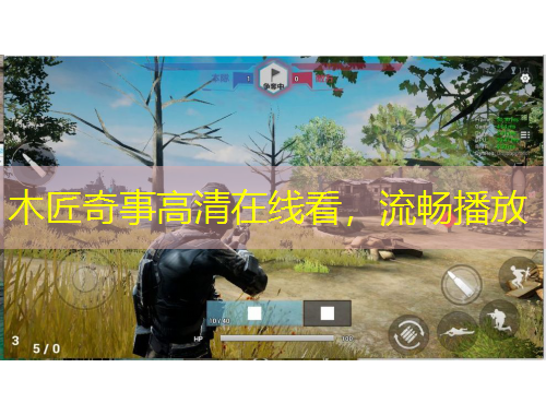 木匠奇事高清在線看，流暢播放