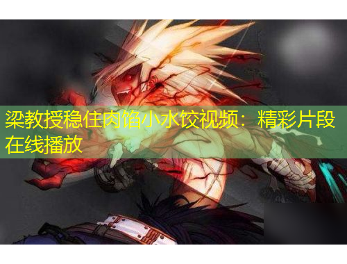 梁教授穩(wěn)住肉餡小水餃視頻：精彩片段在線(xiàn)播放