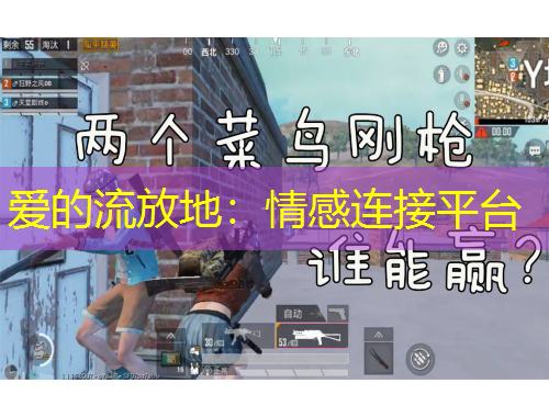 愛(ài)的流放地：情感連接平臺(tái)