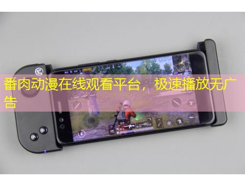 番肉動(dòng)漫在線觀看平臺(tái)，極速播放無廣告