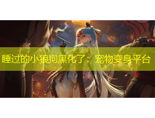 睡過的小狼狗黑化了：寵物變身平臺