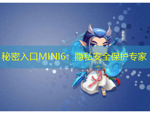 秘密入口MINI6：隱私安全保護(hù)專家