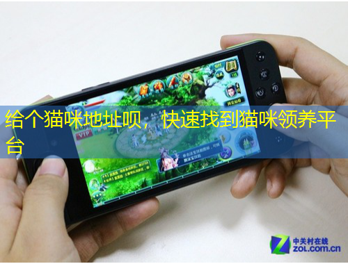 給個貓咪地址唄，快速找到貓咪領養(yǎng)平臺