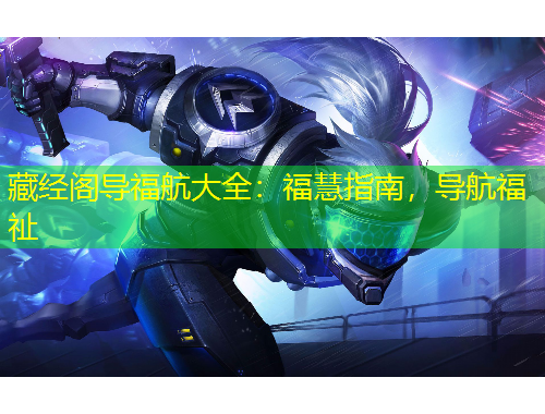 藏經(jīng)閣導(dǎo)福航大全：?；壑改?，導(dǎo)航福祉