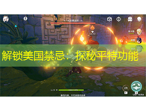 解鎖美國(guó)禁忌：探秘平特功能