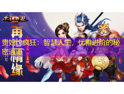 貴婦也瘋狂：智慧人生，優(yōu)雅進(jìn)階的秘密通道