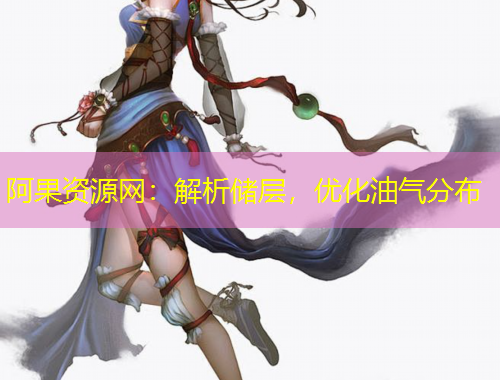 阿果資源網：解析儲層，優(yōu)化油氣分布