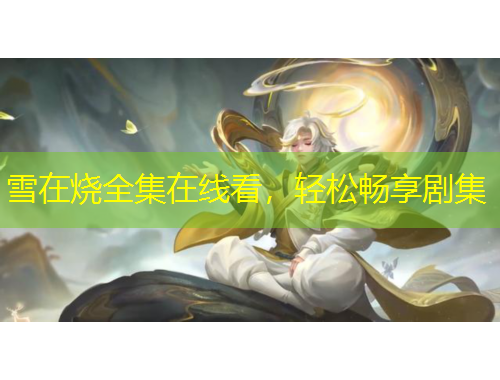 雪在燒全集在線看，輕松暢享劇集