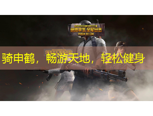 騎申鶴，暢游天地，輕松健身