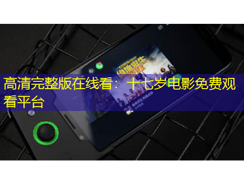 高清完整版在線看：十七歲電影免費觀看平臺