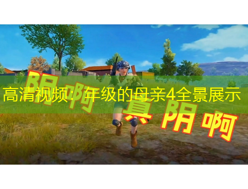 高清視頻：年級的母親4全景展示