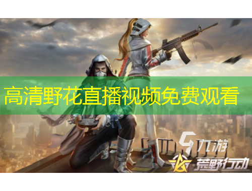 高清野花直播視頻免費(fèi)觀看