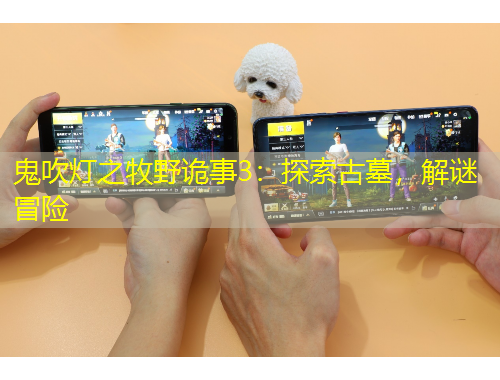 鬼吹燈之牧野詭事3：探索古墓，解謎冒險(xiǎn)
