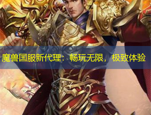 魔獸國(guó)服新代理：暢玩無限，極致體驗(yàn)