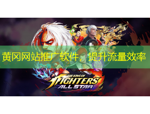 黃岡網(wǎng)站推廣軟件，提升流量效率