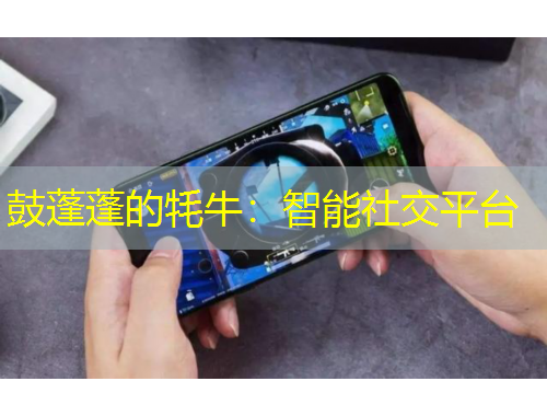 鼓蓬蓬的牦牛：智能社交平臺(tái)