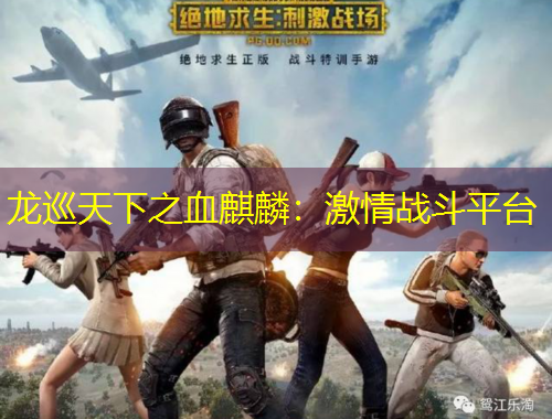 龍巡天下之血麒麟：激情戰(zhàn)斗平臺