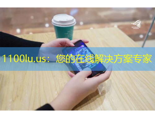 1100lu.us：您的在線解決方案專家