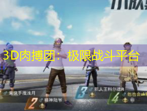 3D肉搏團(tuán)：極限戰(zhàn)斗平臺(tái)