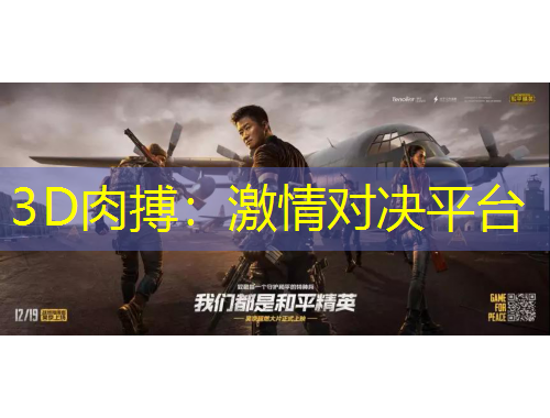 3D肉搏：激情對決平臺