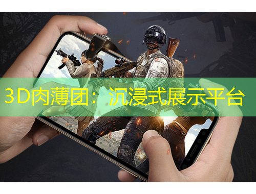 3D肉薄團(tuán)：沉浸式展示平臺(tái)