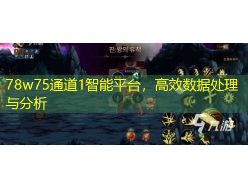 78w75通道1智能平臺(tái)，高效數(shù)據(jù)處理與分析