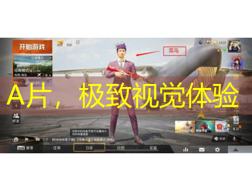 A片，極致視覺體驗