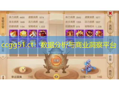 ccgg51.ct：數(shù)據(jù)分析與商業(yè)洞察平臺