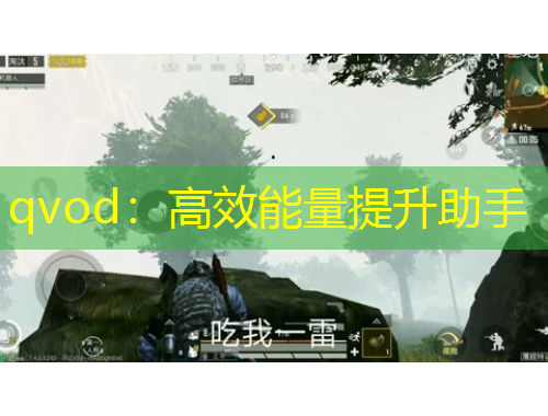qvod：高效能量提升助手